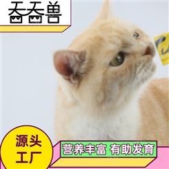 猫条15g/条 宠物猫咪湿粮 流质金枪鱼鸭肉鸡肉口味