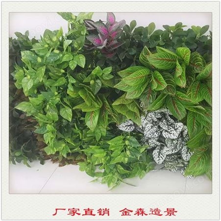 JS56高陵区垂直绿化 金森绿植墙制作厂家