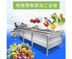 預(yù)制菜生產(chǎn)線氣泡清洗機(jī)