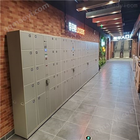 CBG-T-36浙江福源豪华存包柜 超市寄存柜 超市储物柜