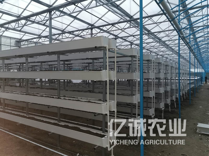 新型智能温室 新型智能温室